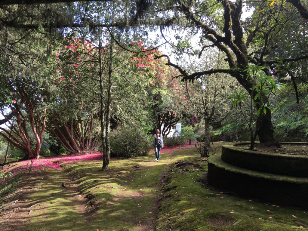 Caminho para todos is the easiest levada, 2 KM one way, circular, 1:5 h total.